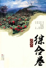 文化文山  综合卷 封面