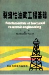 裂缝性油藏工程基础  下 电子书封面
