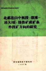 北祁连山中西段  俄博-吊大坂  铬铁矿成矿条件找矿方向的研究 封面