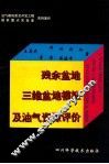 残余盆地三维盆地模拟及油气资源评价 封面