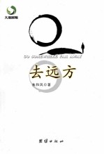 去远方  朱和风小说自选集 电子书封面