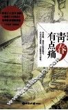 青春，有点痛 封面
