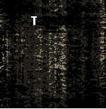 大师从这里起步  石膏像素描 封面