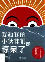 我和我的小伙伴们都惊呆了 封面