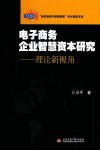电子商务企业智慧资本研究  理论新视角 封面