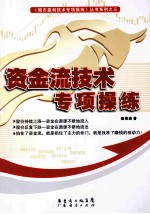 资金流技术专项操练 封面