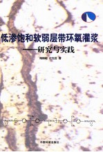 低渗饱和软弱层带环氧灌浆  研究与实践 电子书封面