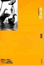 曹文轩非常典雅系列  魅鸭 封面