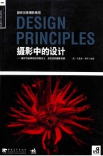 摄影中的设计  揭示作品背后的深层含义，启发您的摄影灵感 封面