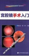 宫腔镜手术入门 封面