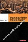 智慧城市重大危险源安全监控开发设计 封面