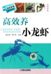 高效养小龙虾 封面