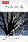 大民间九人诗选 封面