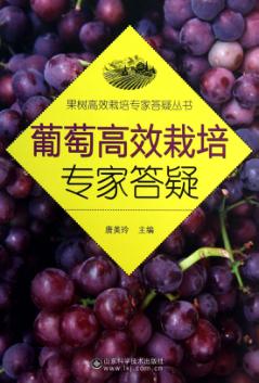 果树高效栽培专家答疑丛书  葡萄高效栽培专家答疑 封面