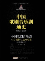 中国歌剧音乐剧生存现状与战略对策  咨询报告书 封面