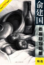俞建国素描静物临摹精选 封面