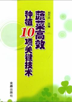 蔬菜高效种植10项关键技术 封面