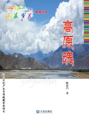 西藏岁月系列丛书  高原魂 封面