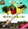 蔬菜是怎样生长的？ 封面