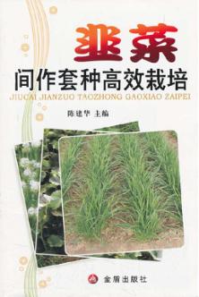 韭菜间作套种高效栽培 封面