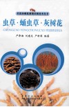 虫草蛹虫草灰树花 封面