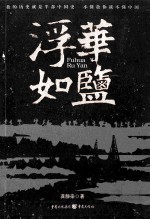 浮华如盐 封面