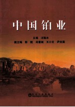 中国铂业 封面