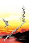 心有多远 封面