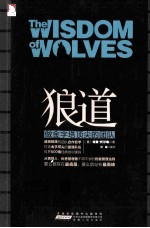 做金字塔顶尖的团队 封面