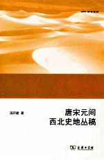 唐宋元间西北史地丛稿 封面