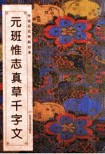 中国历代碑帖经典  元  班惟志真草千字文 封面