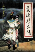 荒漠野火情  上 封面