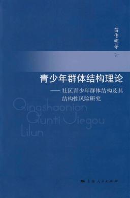 青少年群体结构理论  社区青少年群体结构及其结构性风险研究 封面
