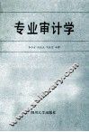 专业审计学 封面