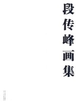 段传峰画集 封面