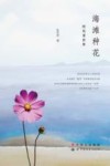 海滩种花  阿岚看世界 封面
