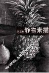宋双村静物素描 封面