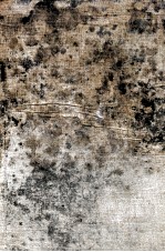 日本法政辞解 封面