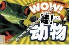 小小发现者看世界  哇！动物 封面