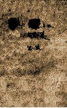 浮选：纪念 A.M高登文集 第一季 电子书封面