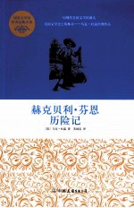 赫克贝利·芬恩历险记 封面