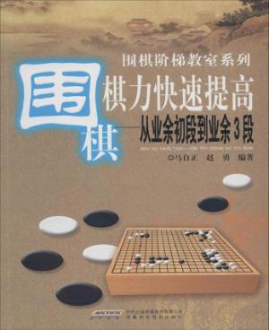 围棋棋力快速提高  从业余初段到业余3段 封面