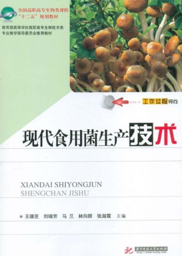 现代食用菌生产技术 封面