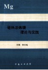 Mg 硅热法炼镁理论与实践 封面