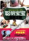 聪明宝宝早教方案 封面