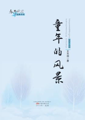 童年的风景  王充闾专集 封面