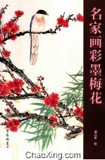 名家画彩墨梅花 封面