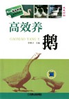 高效养鹅 封面