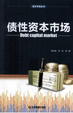 债性资本市场 封面