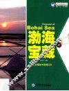 魅力中国海系列丛书  渤海宝藏 封面
